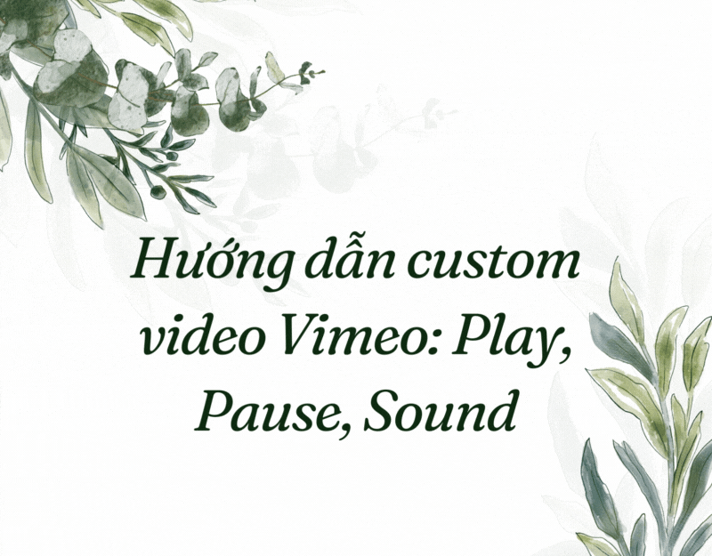 huong-dan-custom-video-vimeo
